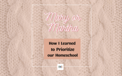 Mary or Martha – How I Learned to Prioritize our Homeschool