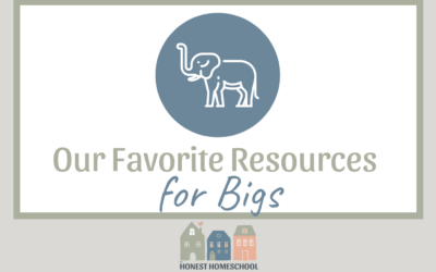 Our Favorite Resources for Bigs