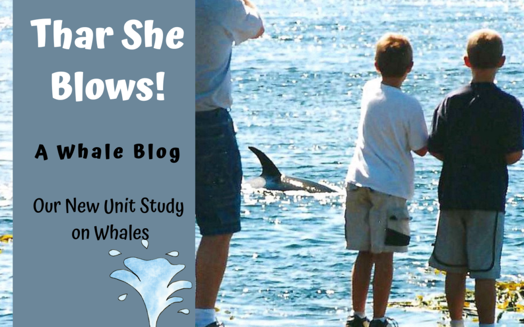 Thar She Blows! A Whale Blog