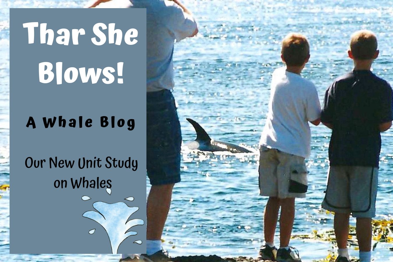 Blog feature image: Thar she blows: a whale blog about our whales unit study.