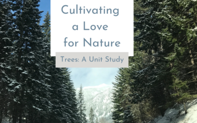 Cultivating a Love for Nature