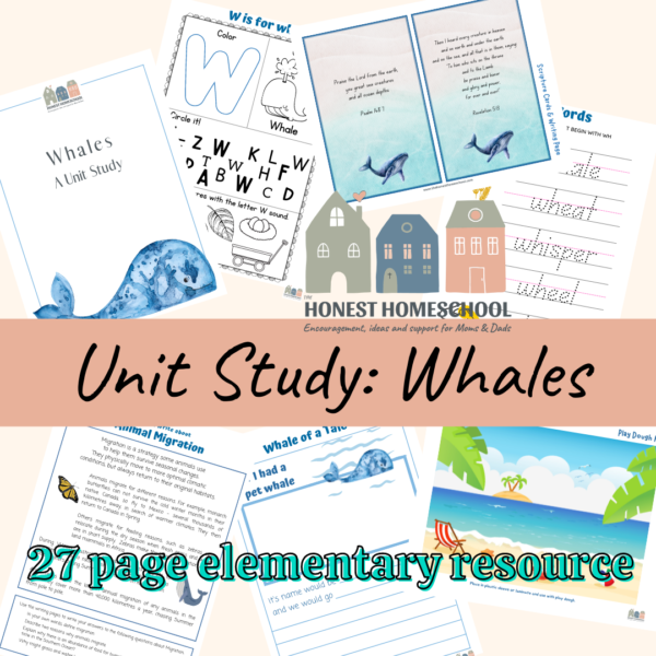 Whales unit study 27 page elementary resource cover graphic with sample pages.