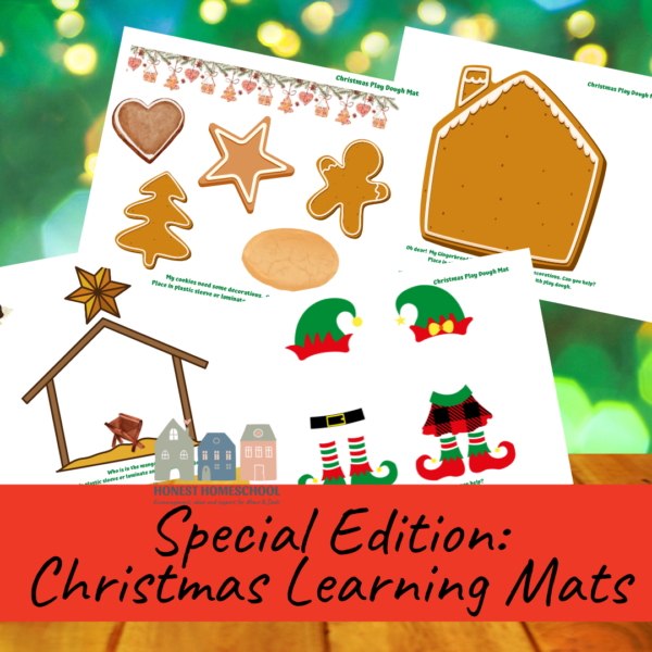 Christmas Special edition Christmas Learning mats for elementary kids cover graphic with sample pages.