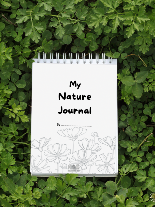 My nature journal homeschool freebie cover photo.